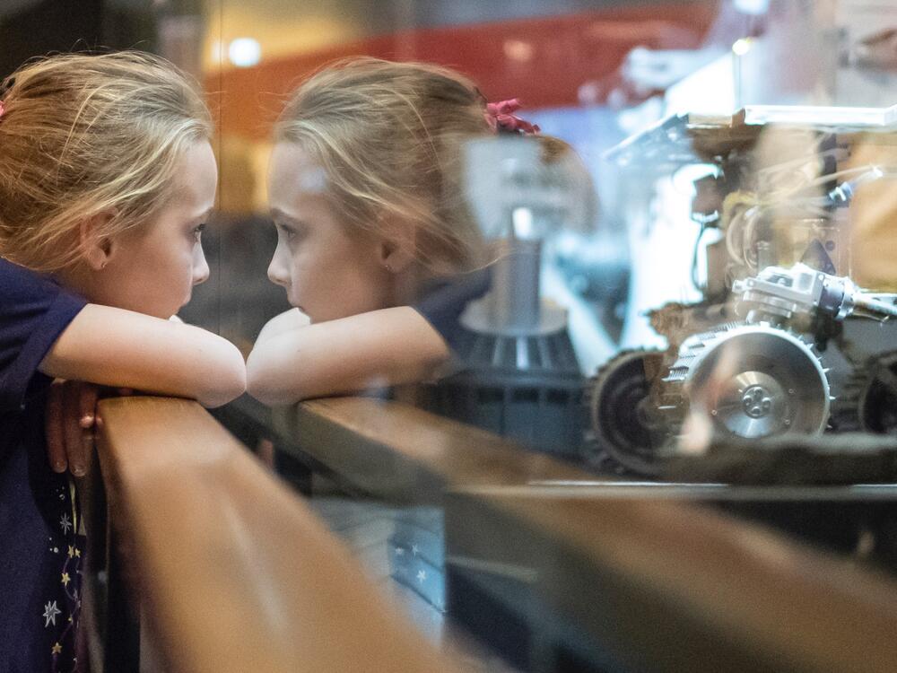 Child looking through glass case